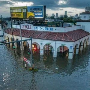 Meet your Posher, Tamiko